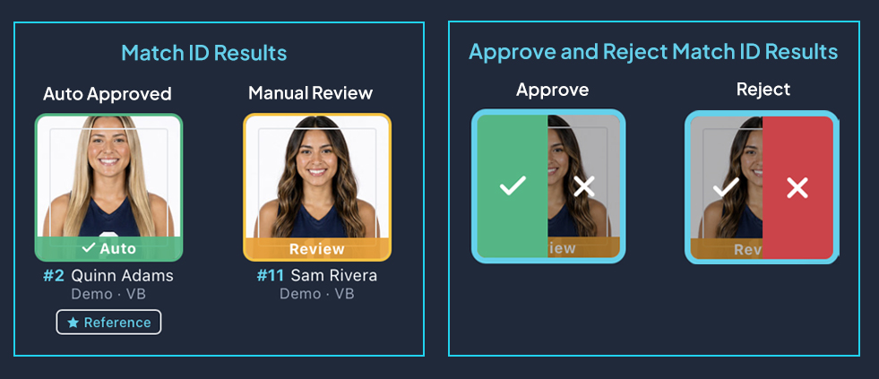 GalleryID Desktop — MatchID results: auto-approved and review matches