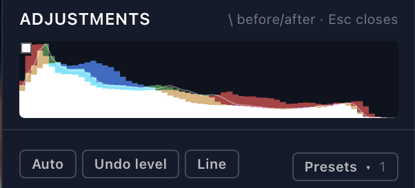 The histogram with a clipping square in the top left, and Auto, Undo level, Line and Presets below it