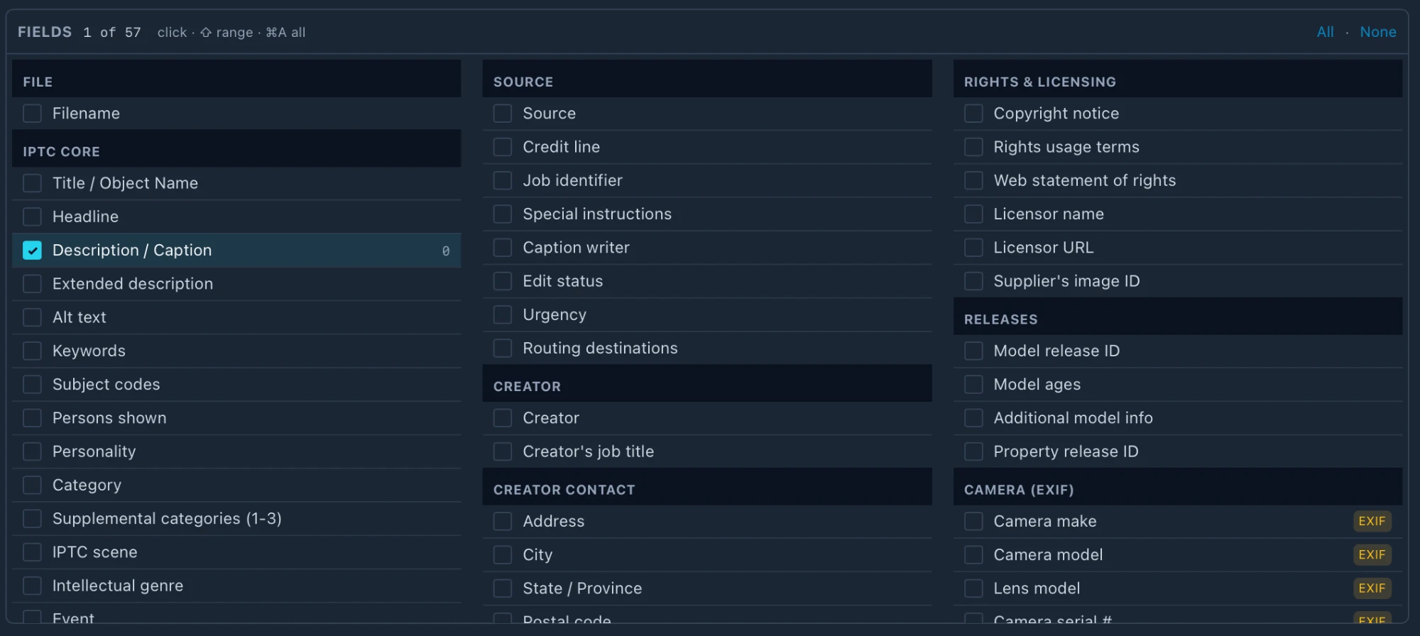 The field list grouped by File, IPTC Core, Source, Creator, Creator contact, Rights and licensing, Releases and Camera (EXIF), with Description / Caption ticked