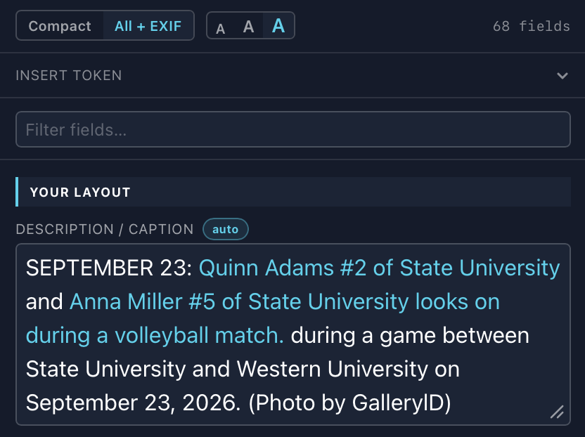 The caption field at the large text size