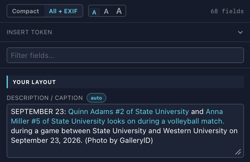 The caption field at the small text size
