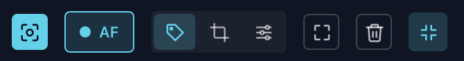 The compact top bar: Who is this?, AF, TAG, CROP and EDIT, full screen and trash as icons, with AF points on