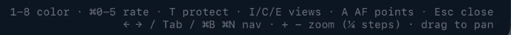 The shortcut reminder: 1-8 color, ⌘0-5 rate, T protect, I/C/E views, A AF points, Esc close, arrows, Tab, ⌘B ⌘N nav, + − zoom, drag to pan