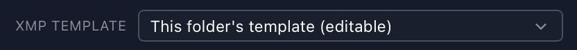 XMP Template: This folder's template (editable)