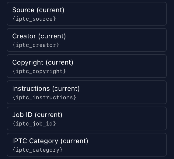More of this photo's IPTC tokens