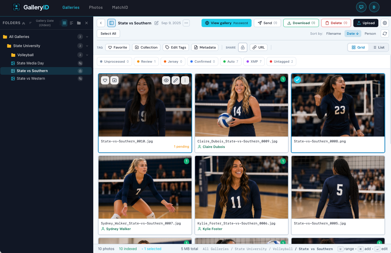 A gallery with pending matches to review and auto-approved matches already written