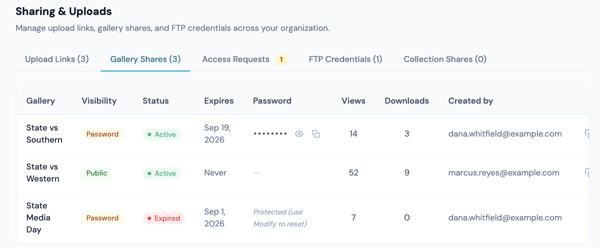 Gallery Shares on the Org Dashboard: visibility, status, expiry, password, views and downloads for every link
